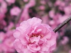 -绿岛公园(滨海新区)