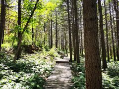 -白草畔自然风景区