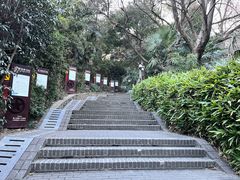 -伯先公园