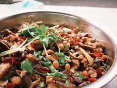 -食神又名厕所兔