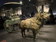 -秦始皇帝陵博物院(兵马俑)