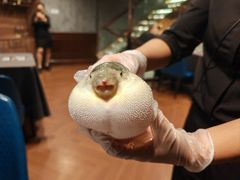 -肆月河豚·新淮扬(金融街店)