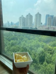 -海豚湾高端月子会所(黄浦店)