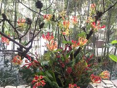 -解香楼(八盘岭路店)