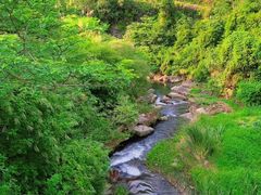 -梅州天地人花园酒店(梅县人民广场店)