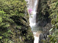 -祁门牯牛降观音堂风景区