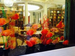 旺顺阁海鲜广场-旺顺阁海鲜广场(亚运村店)