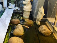 -乐尚音乐空间·钢琴·声乐·架子鼓(会展中心店)