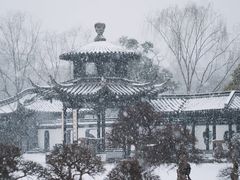 -扬州大运河文化旅游度假区·盆景园