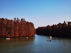 -上海海湾国家森林公园