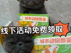 -瑞虹新天地月亮湾