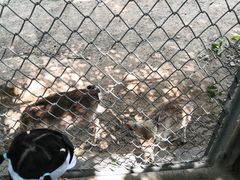 -西安秦岭野生动物园