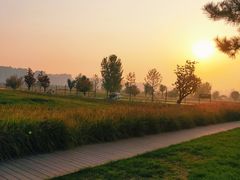 -汉长安城未央宫国家考古遗址公园