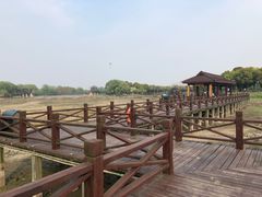 -荷塘月色湿地公园·向阳花洲