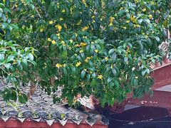 -东天目山风景区