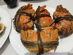 -晶丽香榭自助餐(南京大饭店)
