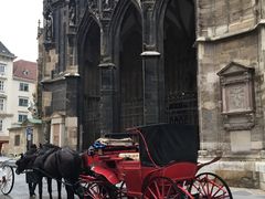 -斯蒂芬主教座堂(Stephansdom)