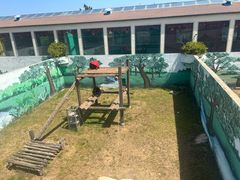 -西霞口神雕山野生动物世界