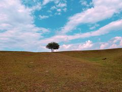 -塞罕坝国家级自然保护区