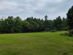 -东湖落雁景区