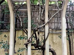 -徐家汇源景区-衡山公园