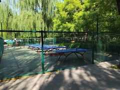 -莲花池公园