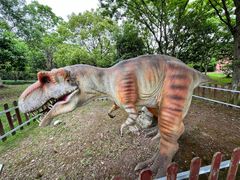 -上海海湾国家森林公园