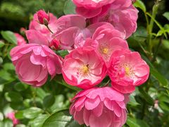 -昆山城市生态森林公园