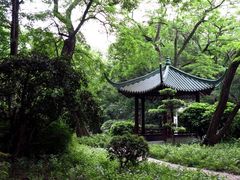 -中山公园
