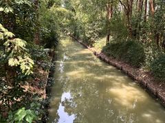 -同里国家湿地公园