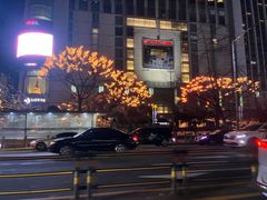 -乐天免税店(明洞店)