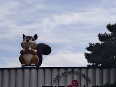 -丽泽山庄·生态怀柔菜·虹鳟鱼(红螺寺店)