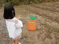-前小桔亲子创意农场·草莓采摘·露营烧烤