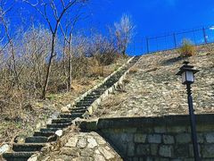 -白水寺森林公园