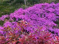 -山东省千佛山医院