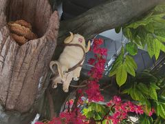 -草原塞蛮羊火锅城(港湾店)