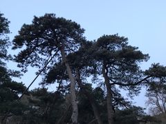-香山公园