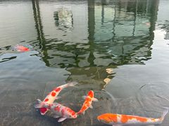 -杜三珍(齐门路店)