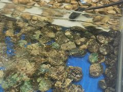-川骄海鲜自助(河东店)