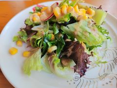 蔬菜沙拉-天正河鲀·河豚亭(大连店)