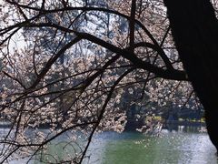 -宝岩生态观光园