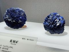 -湖南省地质博物馆