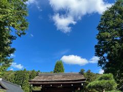 -西芳寺(苔寺)
