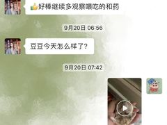 -达爱动物医院·犬猫分区·CT·复杂眼科(远洋山水分院)