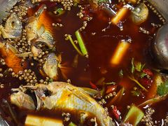 邮亭鲫鱼-曾老幺鱼庄(龙华商厦店)