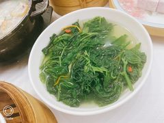 虫草花汤浸桑叶-合晋食府(广州合晋帝苑酒店)