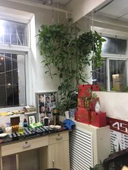点击看大图 -北京美痣堂古方祛痣斑疣瘊