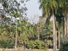 -中国科学院西双版纳热带植物园