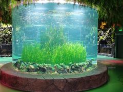 -海合安成都极地海洋公园