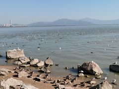 -深圳湾公园(南山区)